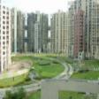 Residential Apartment 3 bhk  Rent Nirvana Country Gurgaon